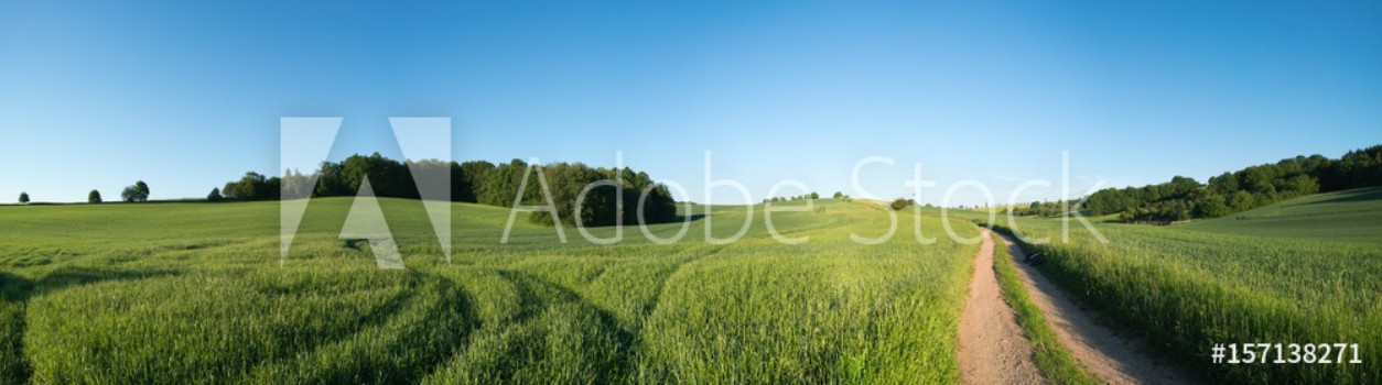 Image de Panorama summer green field landscape with dirt road